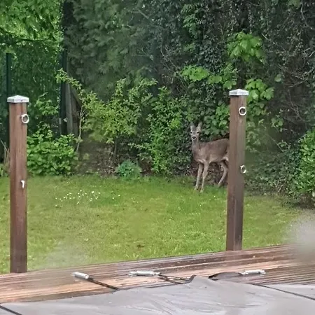 La Valentine * Épinal