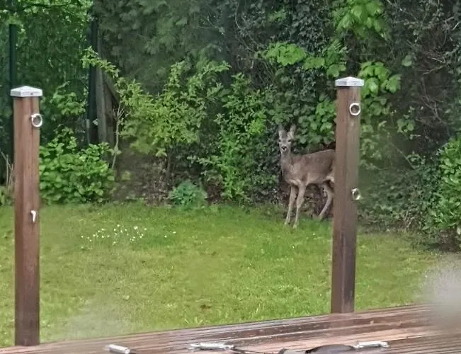 La Valentine * Épinal